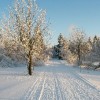 Vinter og Jul u/stativ